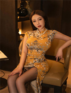《淑女之家 电视剧》